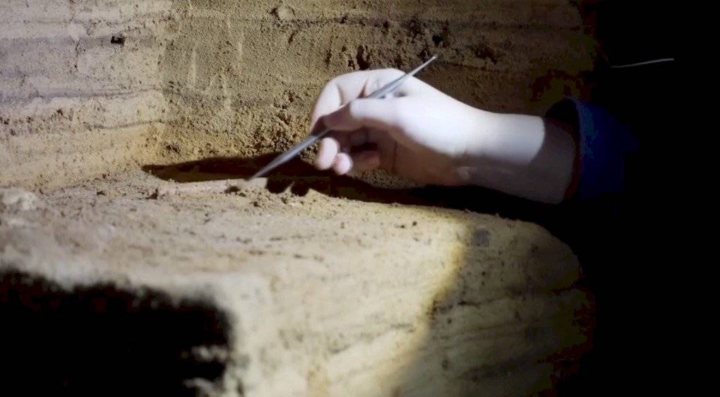 Científicos descubren cuevas en el sur de Australia