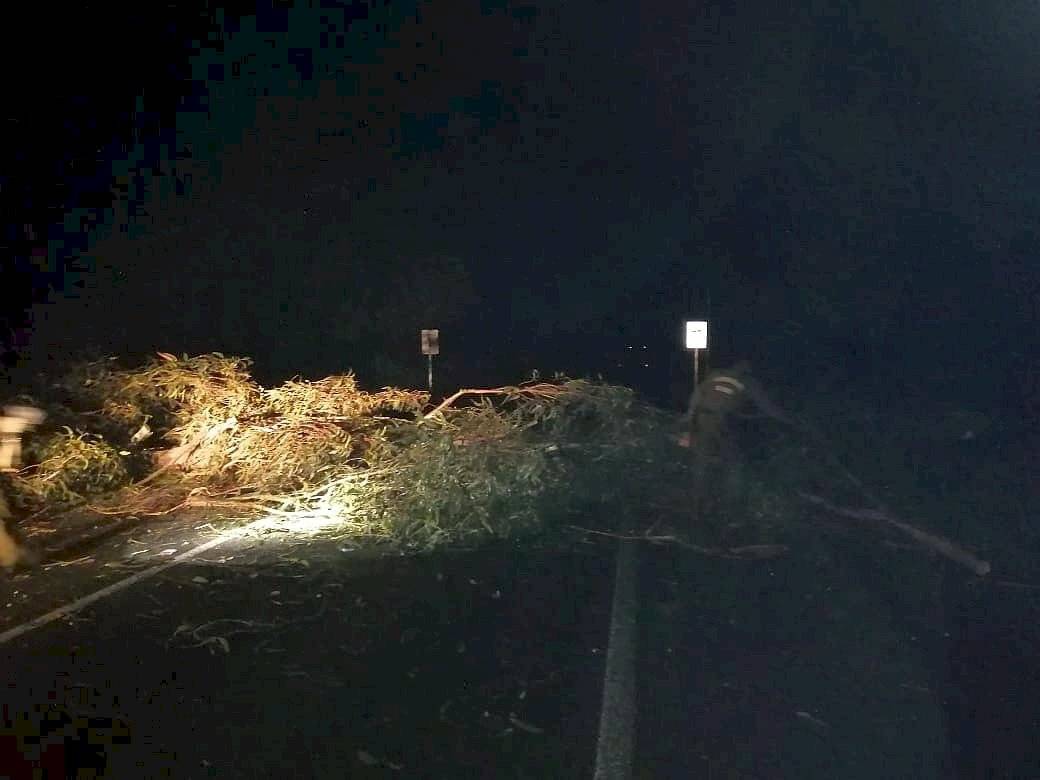 El corte de ruta en el camino que une Galvarino con Chol Chol / Foto: Cedida