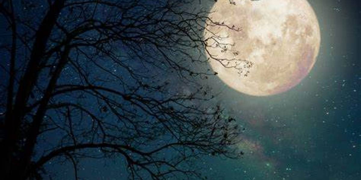Esta extraña Luna se podrá ver durante Halloween y eso da un poco de miedo