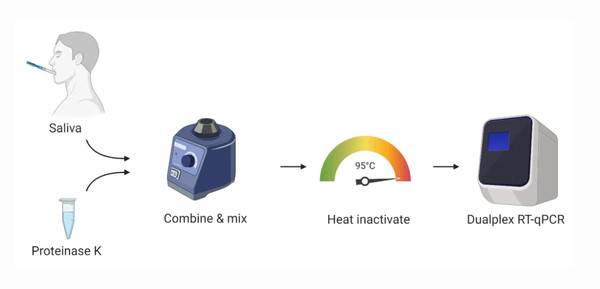  SalivaDirect coronavirus 