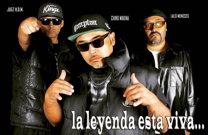 Panteras Negras