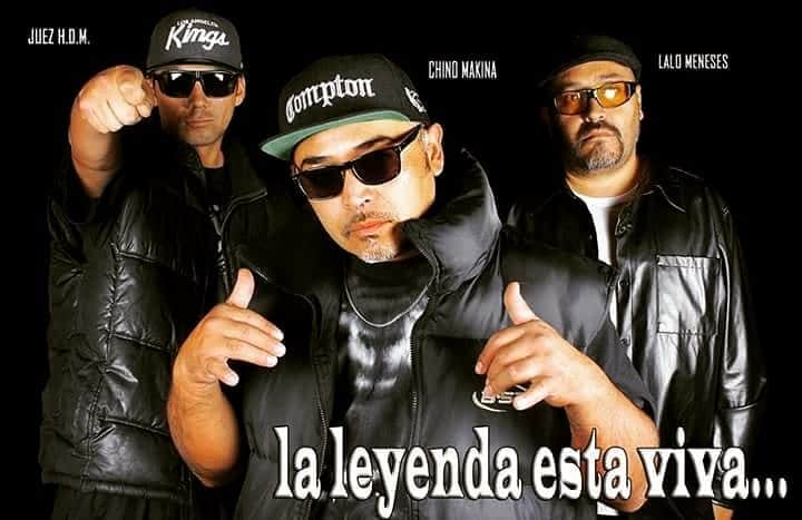 Panteras Negras