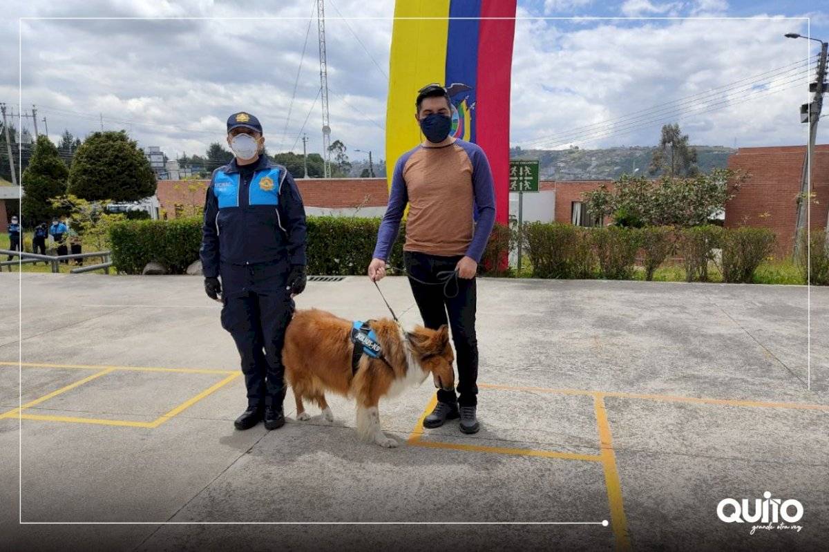 ¡Gracias! Perritos de la Agencia de Control de Quito se jubilaron