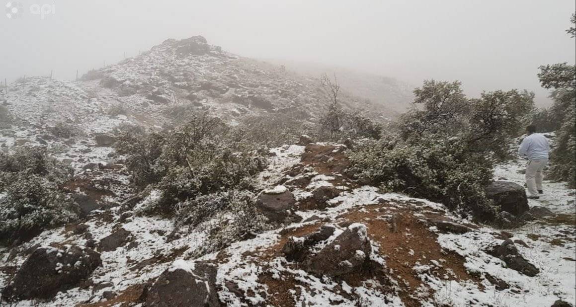 El Cajas (Cuenca) se cubrió de nieve debido a las bajas temperaturas