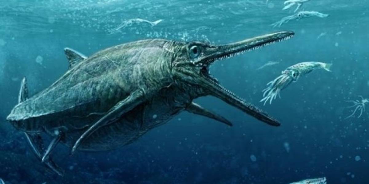 Impresionante: hallaron el fósil de un reptil prehistórico con su última comida, intacta, en su estómago