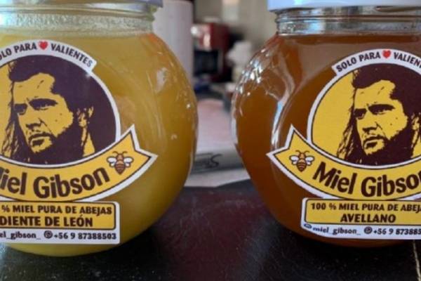 A lo corazón valiente: guerra por la propiedad de "Miel Gibson" no para