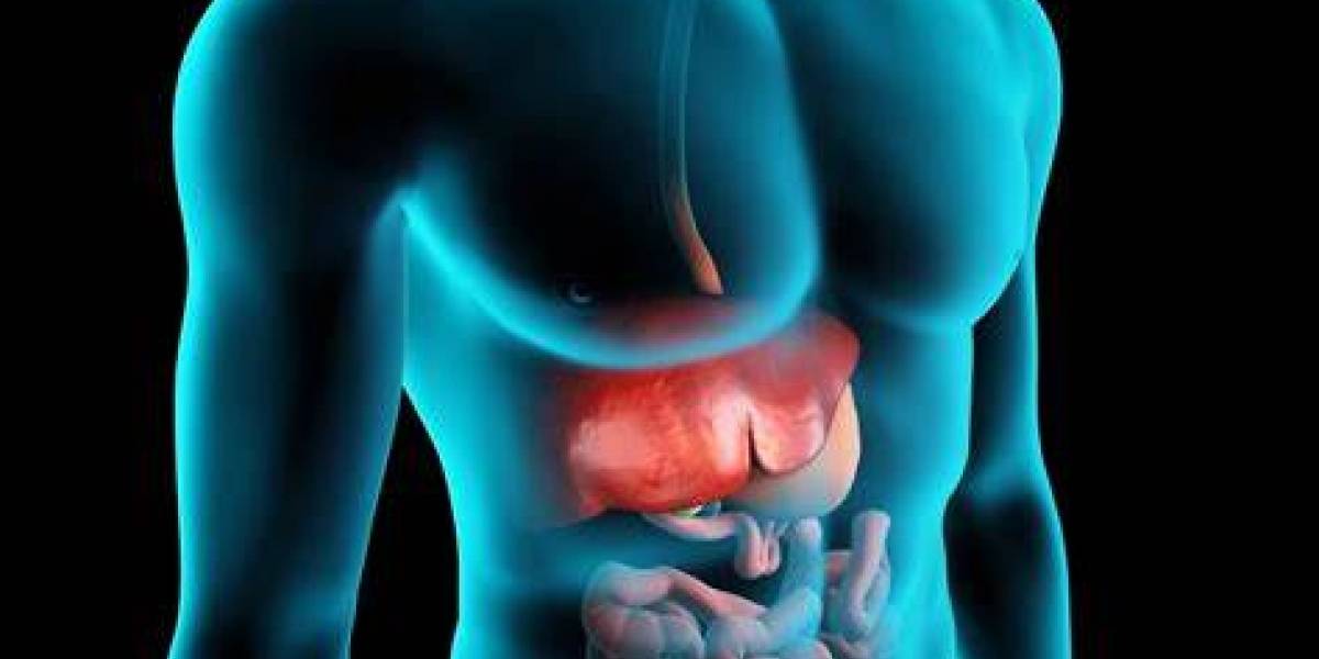 Los humanos pronto podrían cultivar su propio hígado, con la inyección de células sanas
