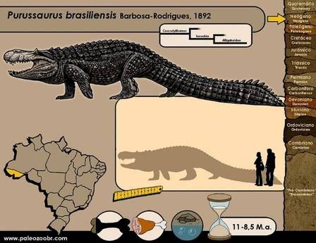 grafico