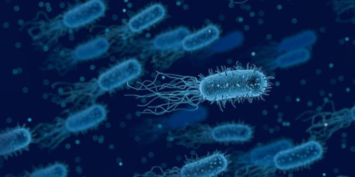 Universo: las bacterias pueden sobrevivir un viaje desde la Tierra hasta Marte, dicen los científicos