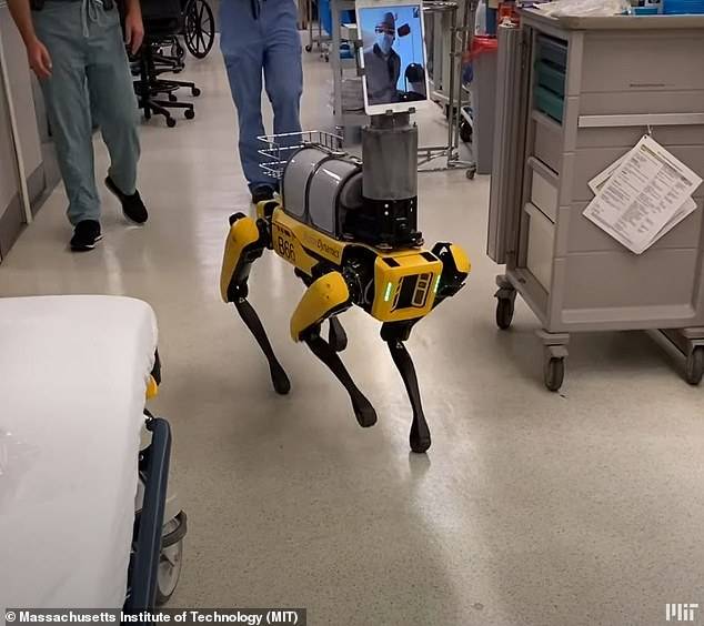 Spot, el perro robot que rastrea el coronavirus