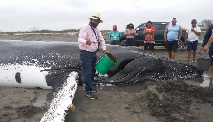 Rescate