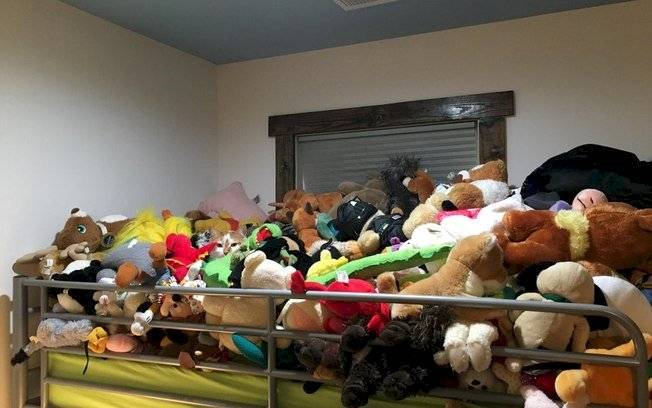 Desafio! Você é capaz de encontrar o gato nessas três imagens?