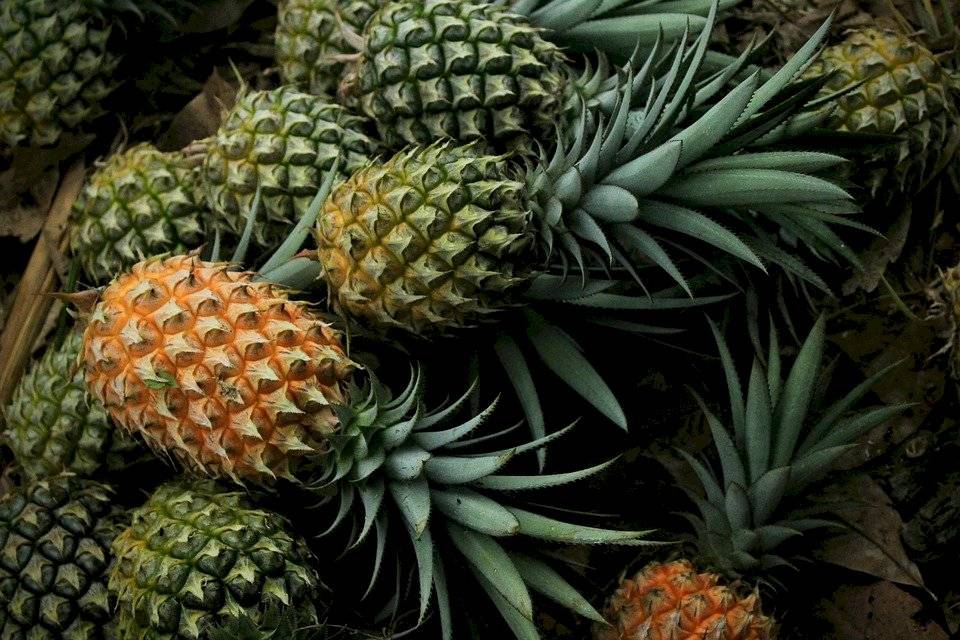 Adeus TPM! Confira os alimentos que ajudam a suavizar os sintomas desta fase