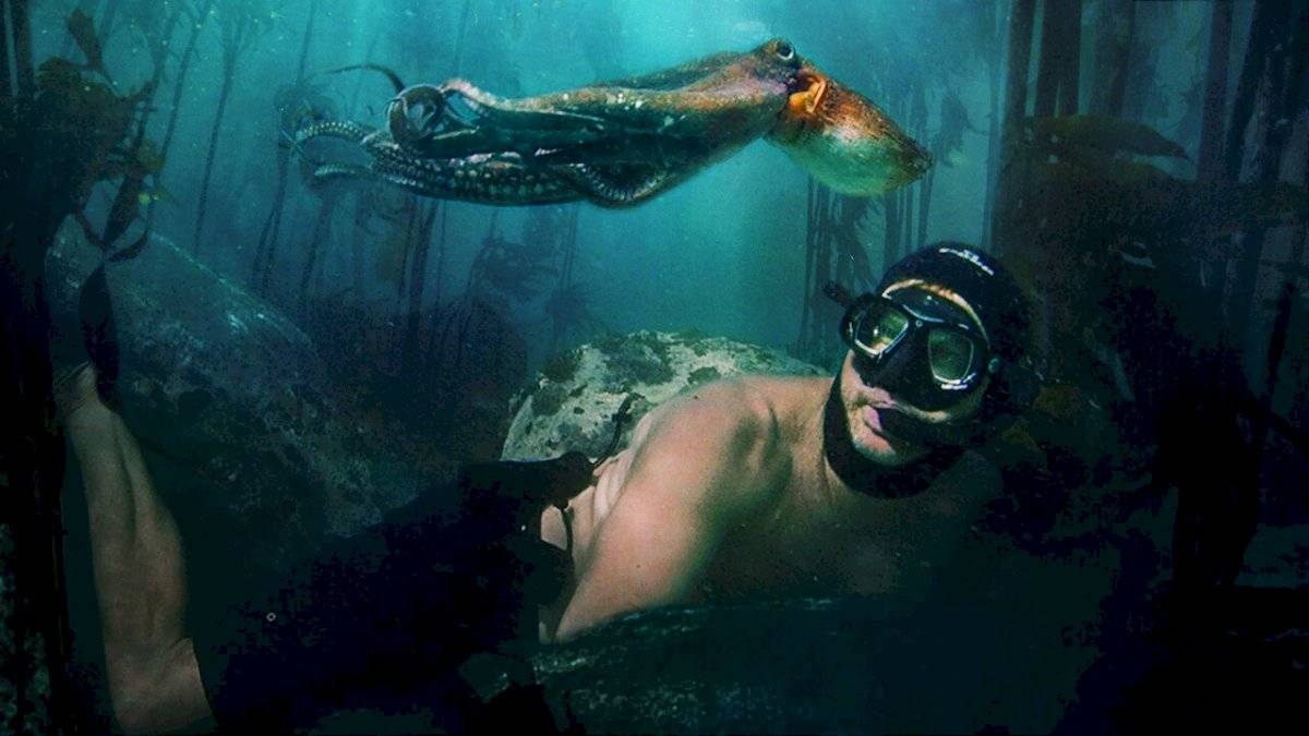 Lo que el pulpo me enseñó