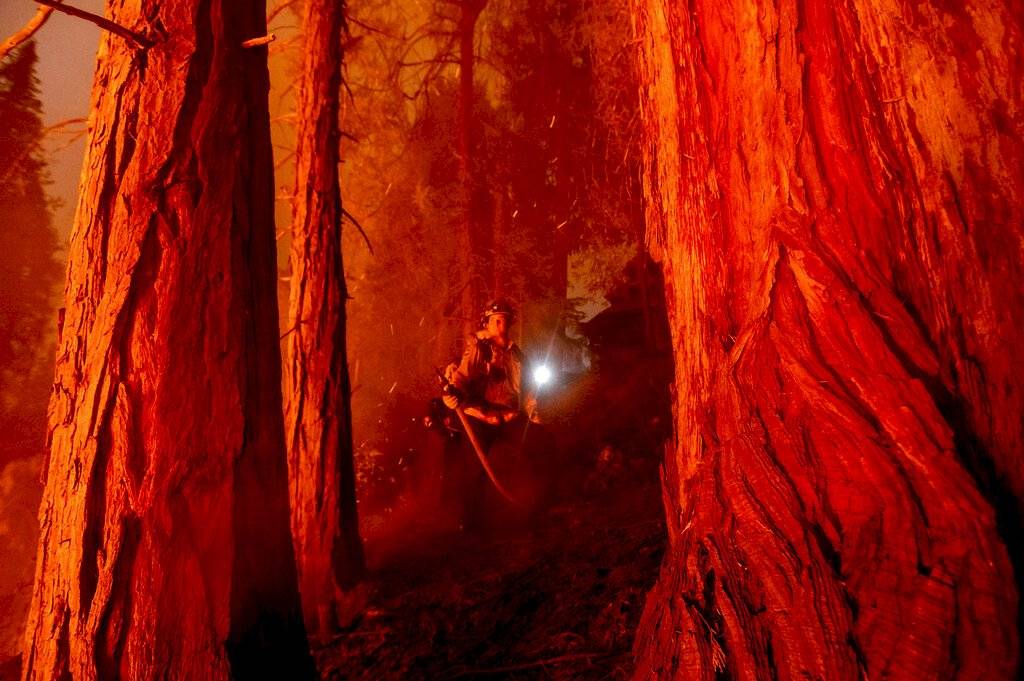 El bombero Nick Grinstead apagando un incendio en la comunidad de Shaver Lake, en Fresno, California, el lunes 7 de septiembre del 2020