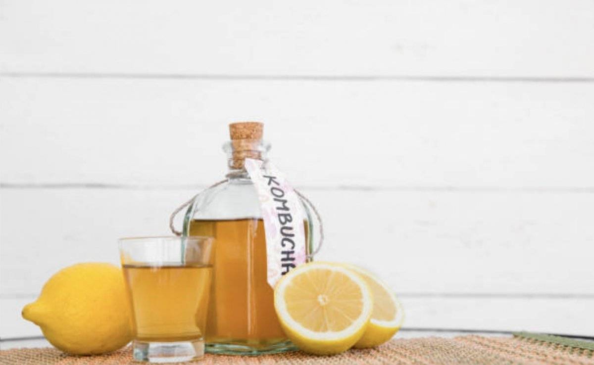 Cuáles son los beneficios del té de kombucha y quiénes pueden tomarlo