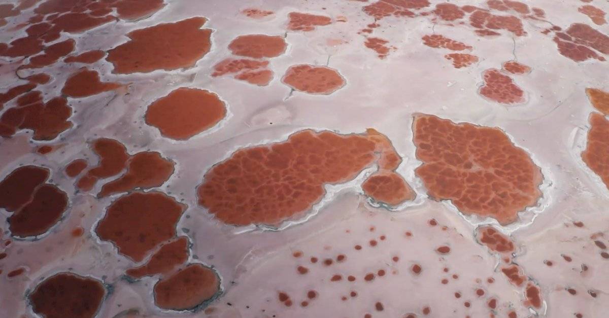 El calor tiñe el agua de un lago de Siberia de rosa