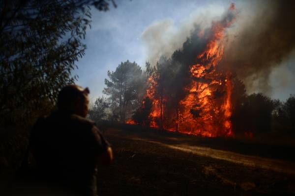 Incendios forestales: prevén "tormentas de fuego" desde Valparaíso al sur