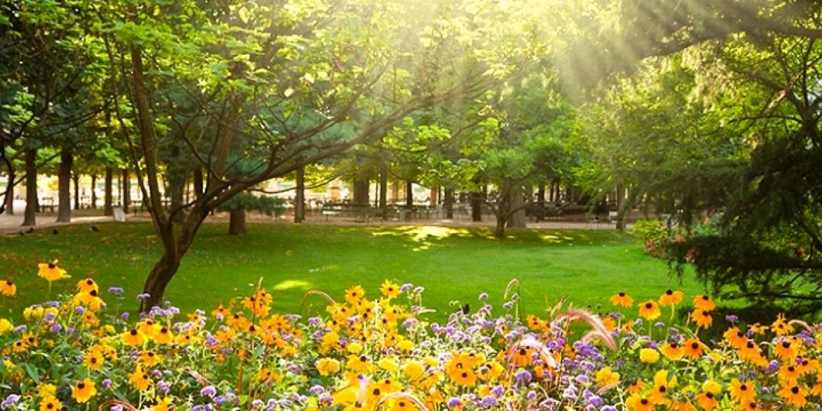 Ciencia: ¿cuándo realmente será el equinoccio de primavera?