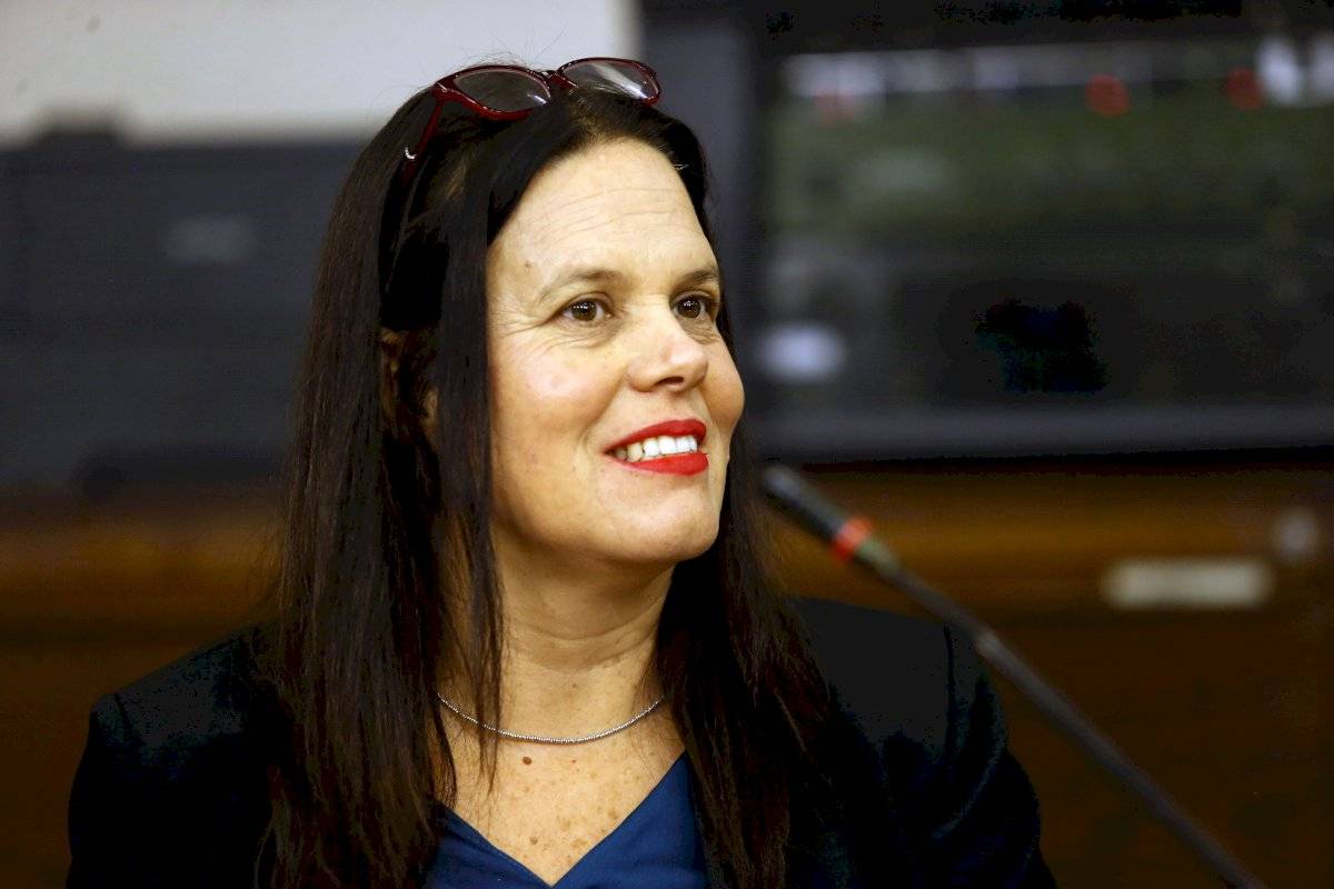 diputada Maya fernández-