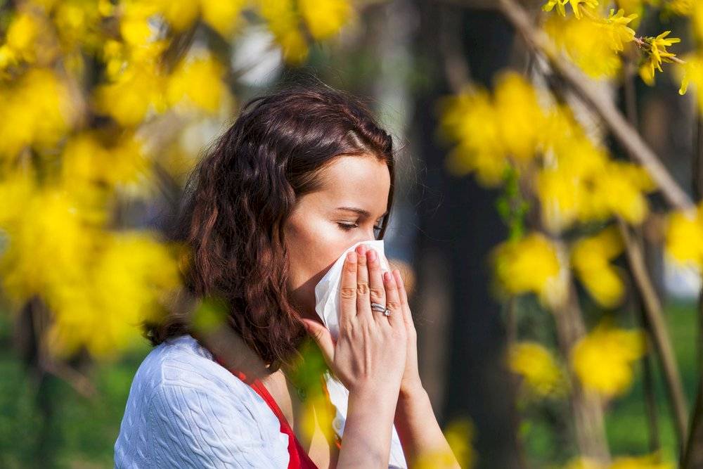 primavera alergia antihistamínicos