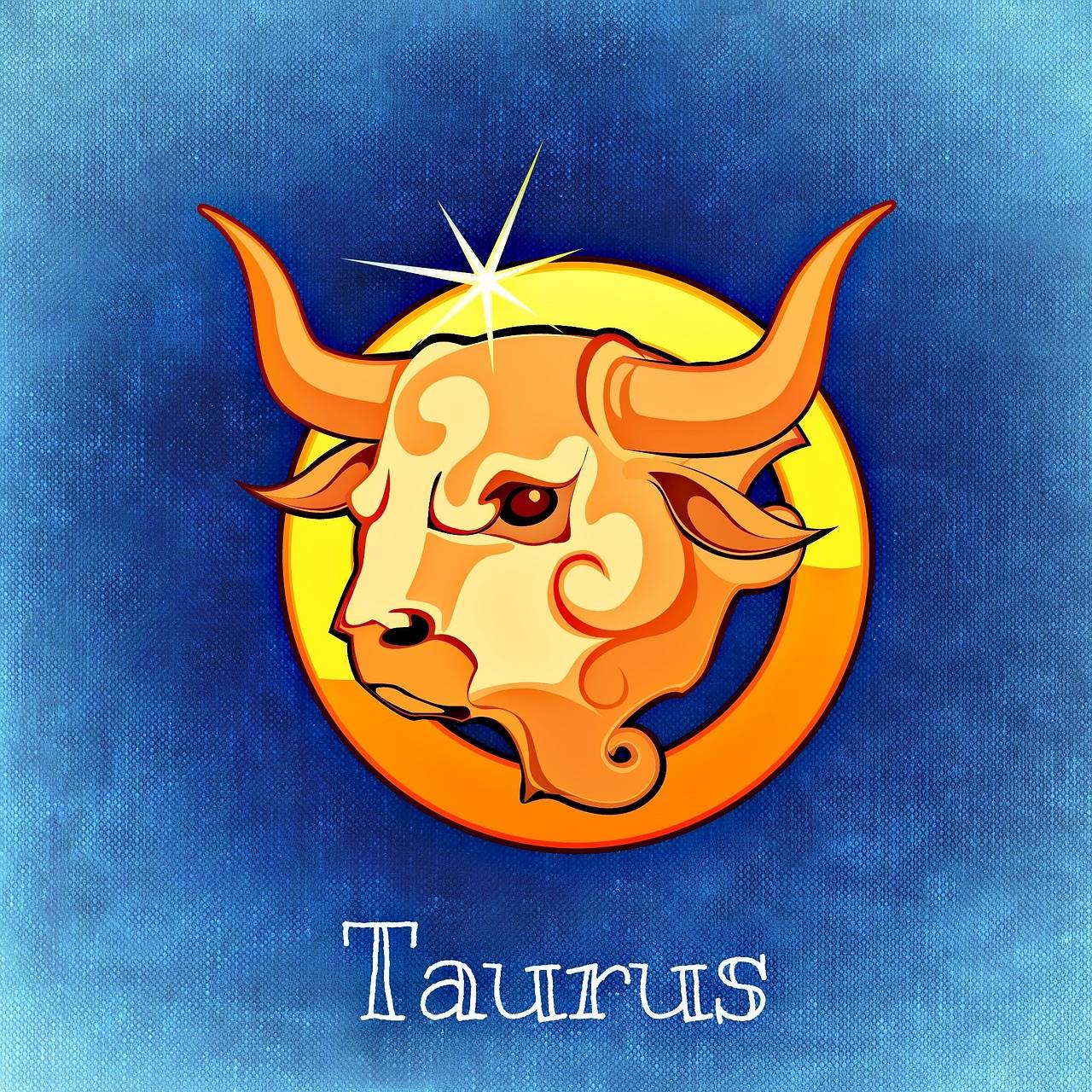 TAURO