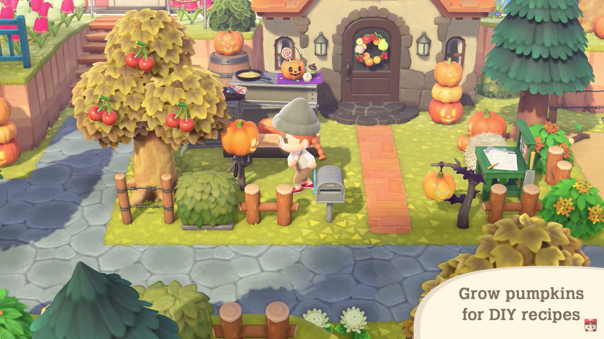 Animal Crossing New Horizons Animal Crossing New Horizons