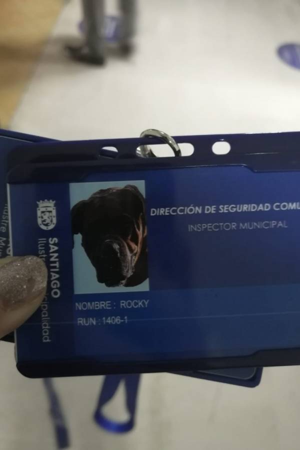 Rocky