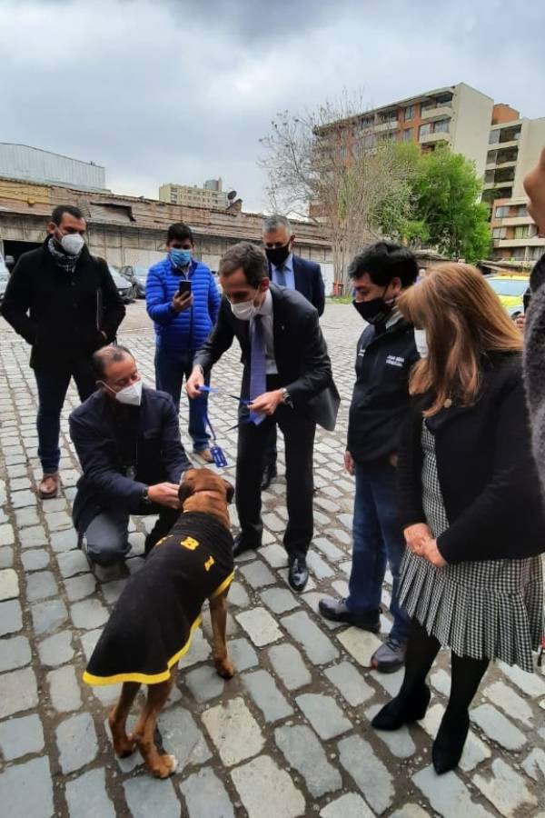 Rocky con Alessandri
