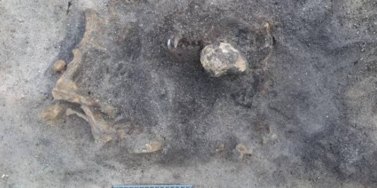 Este perrito de la Edad de Piedra acompañó a su amo hasta la muerte