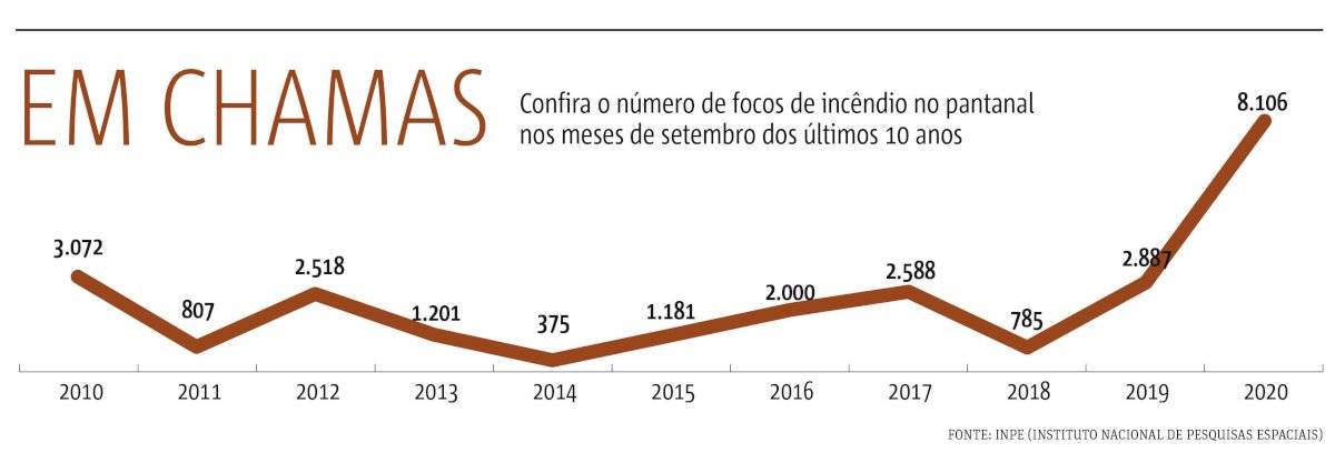 info pantanal