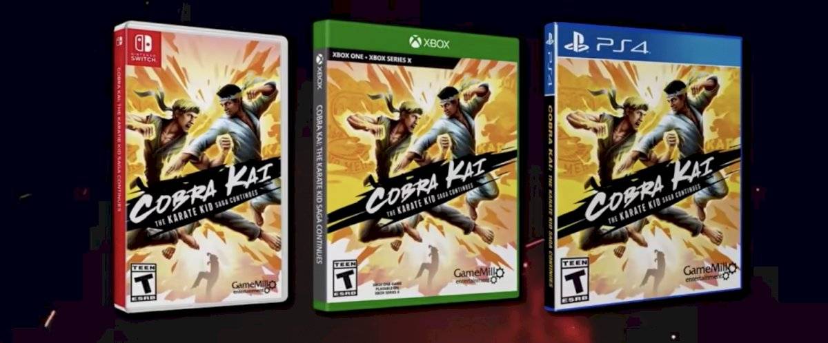 Cobra Kai tendrá videojuego que saldrá para PS4, Xbox y Nintendo Switch