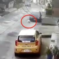 Un perro callejero entra a una casa y lo arrojan desde segundo piso