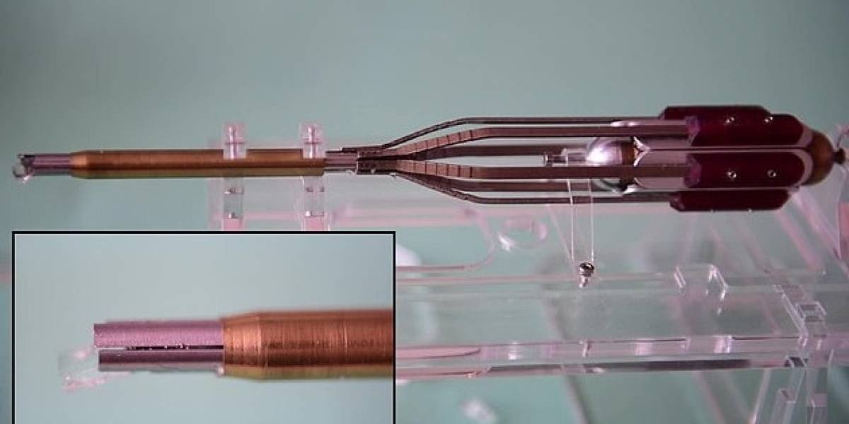 Científicos holandeses emularon un proceso reproductivo de las avispas para crear una herramienta quirúrgica