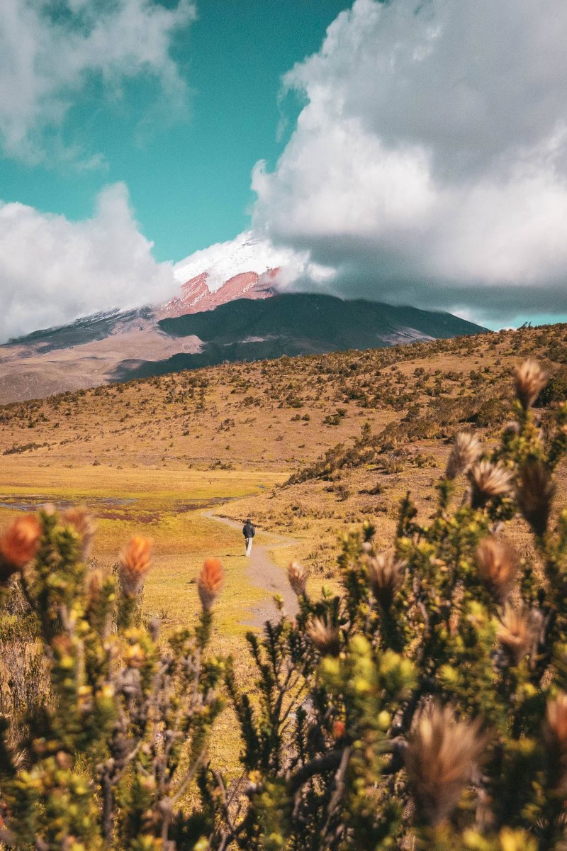 Reserva del volcán Cotopaxi