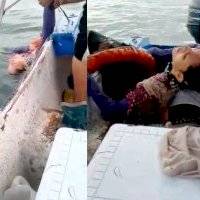 VIDEO: Rescatan a mujer a tres kilómetros del puerto; llevaba cerca de ocho horas en el mar