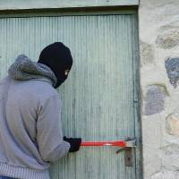 Escalan una lechonera en Corozal