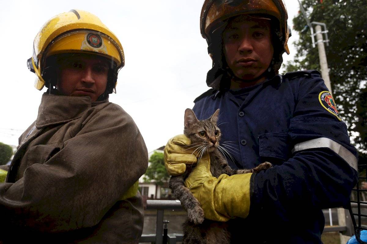 rescate bomberos cali
