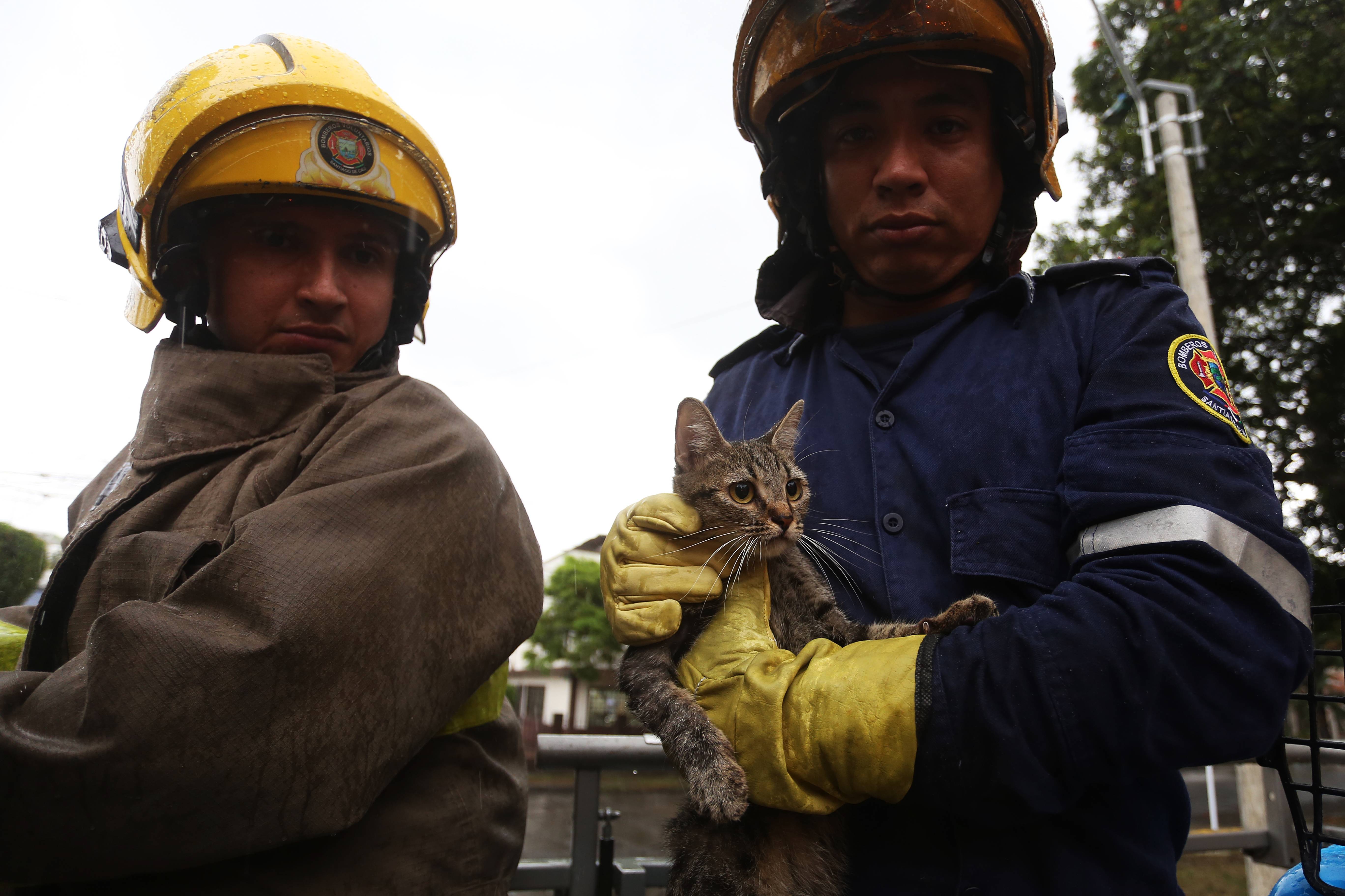 rescate bomberos cali