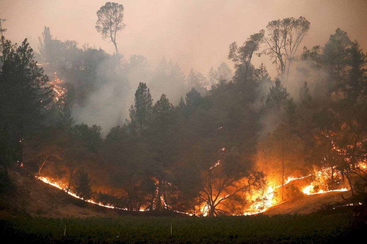 El incendio en California lleva un mes activo y ha quemado un millón de acres