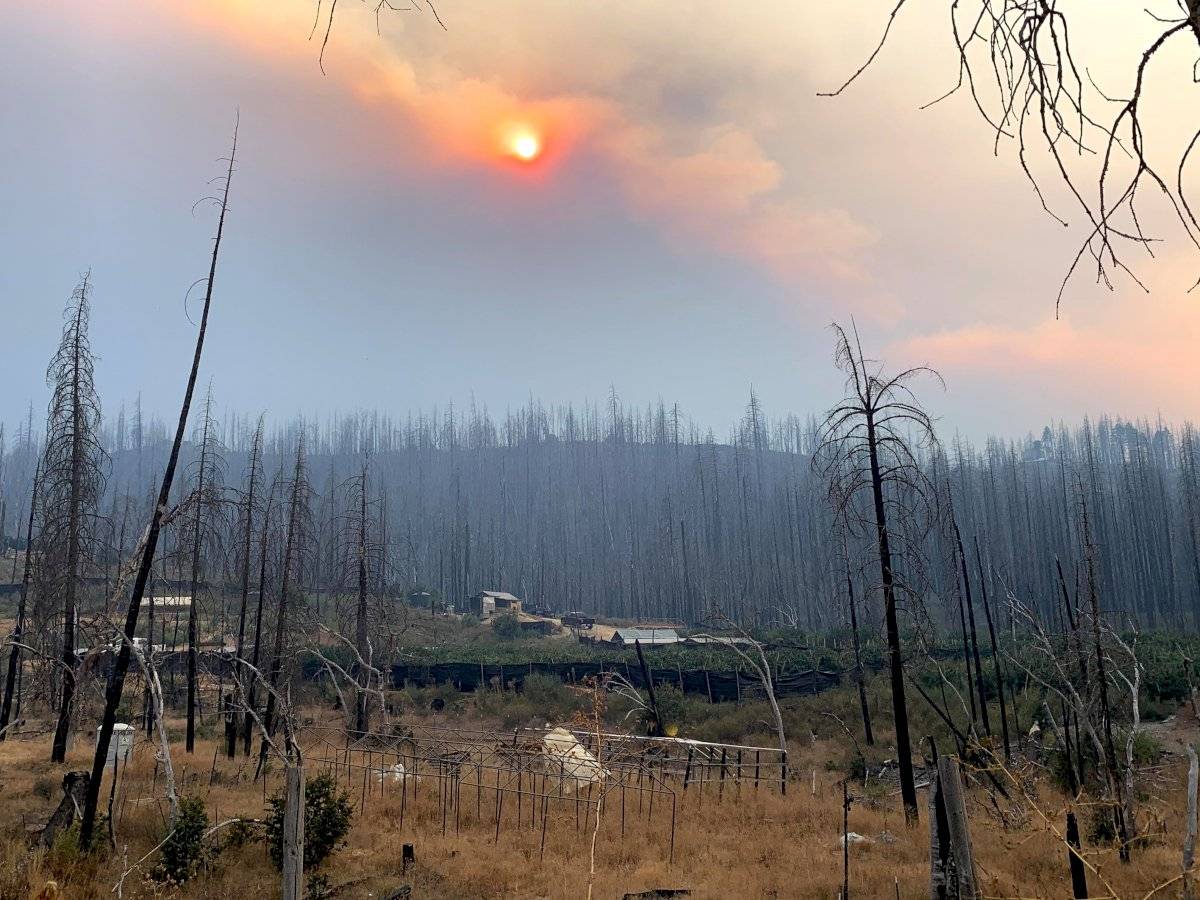 El incendio en California lleva un mes activo y ha quemado un millón de acres