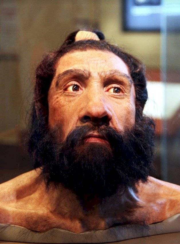 Neandertales