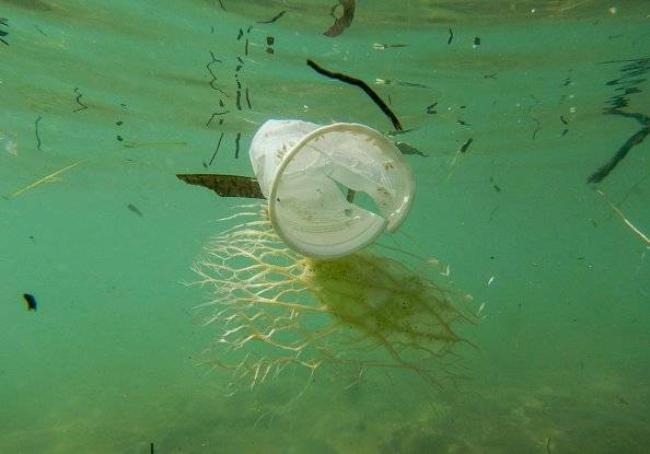 Estudio estima que existen 14 millones de toneladas de plástico en el fondo marino