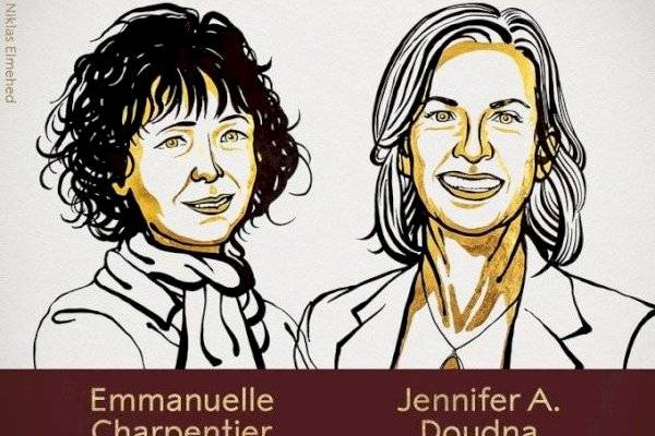 Dos mujeres ganan Premio Nobel de Química por desarrollar método para la edición del genoma