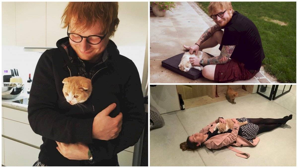 Amantes de las animales: famosos que presumen a sus mascotas en redes