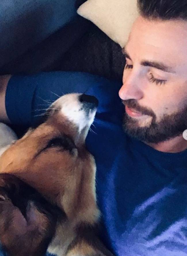 Chris Evans Chris Evans
