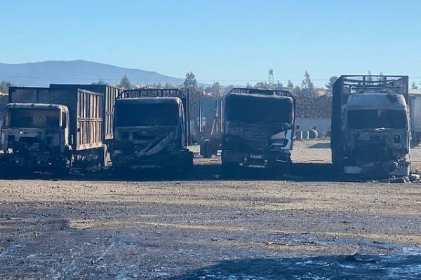 ¿Vuelve el paro? Camioneros advierten que podrían retomar las movilizaciones tras ataque incendiario en Angol
