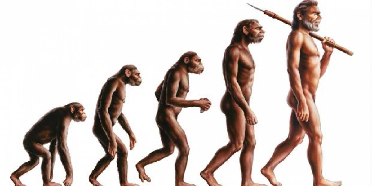 Estudio: la raza humana sigue evolucionando y los científicos lo demuestran a través de la presencia de una arteria