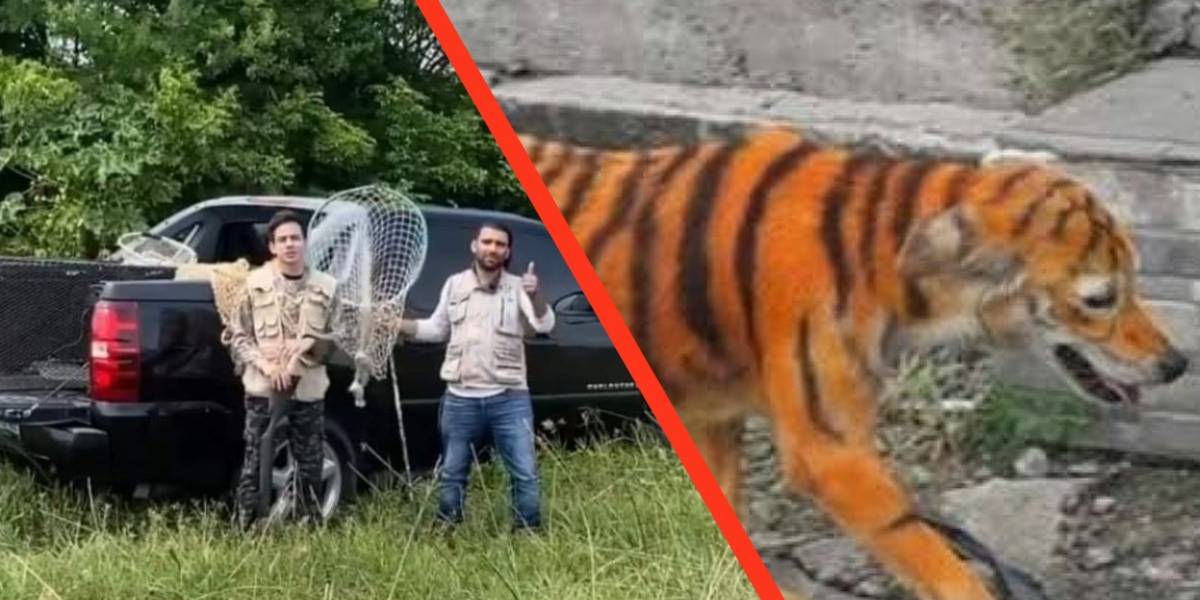 Carlos Name: la razón por la que es tendencia y los mejores memes de esto