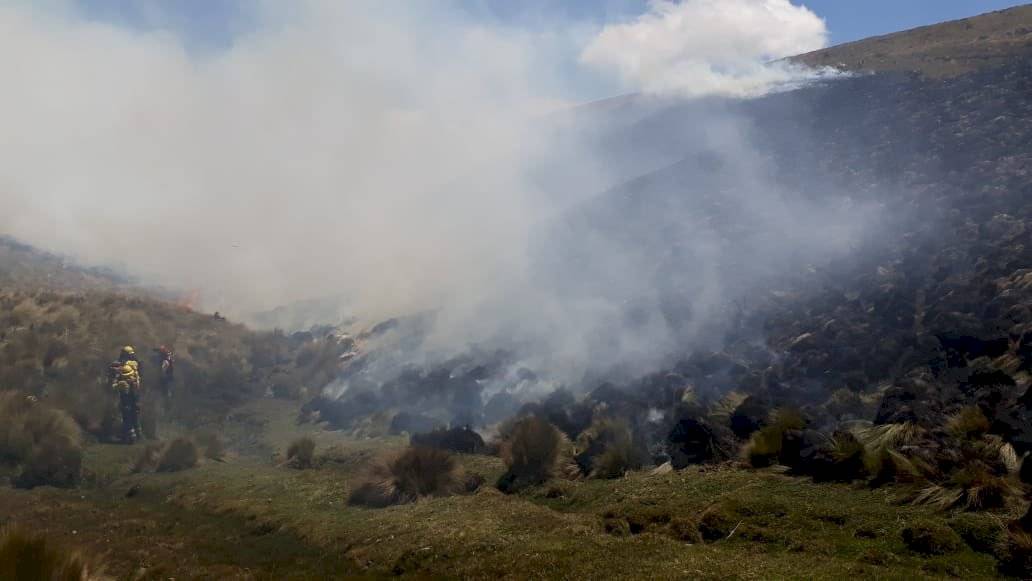 Incendio en Reserva Ecológica Antisana